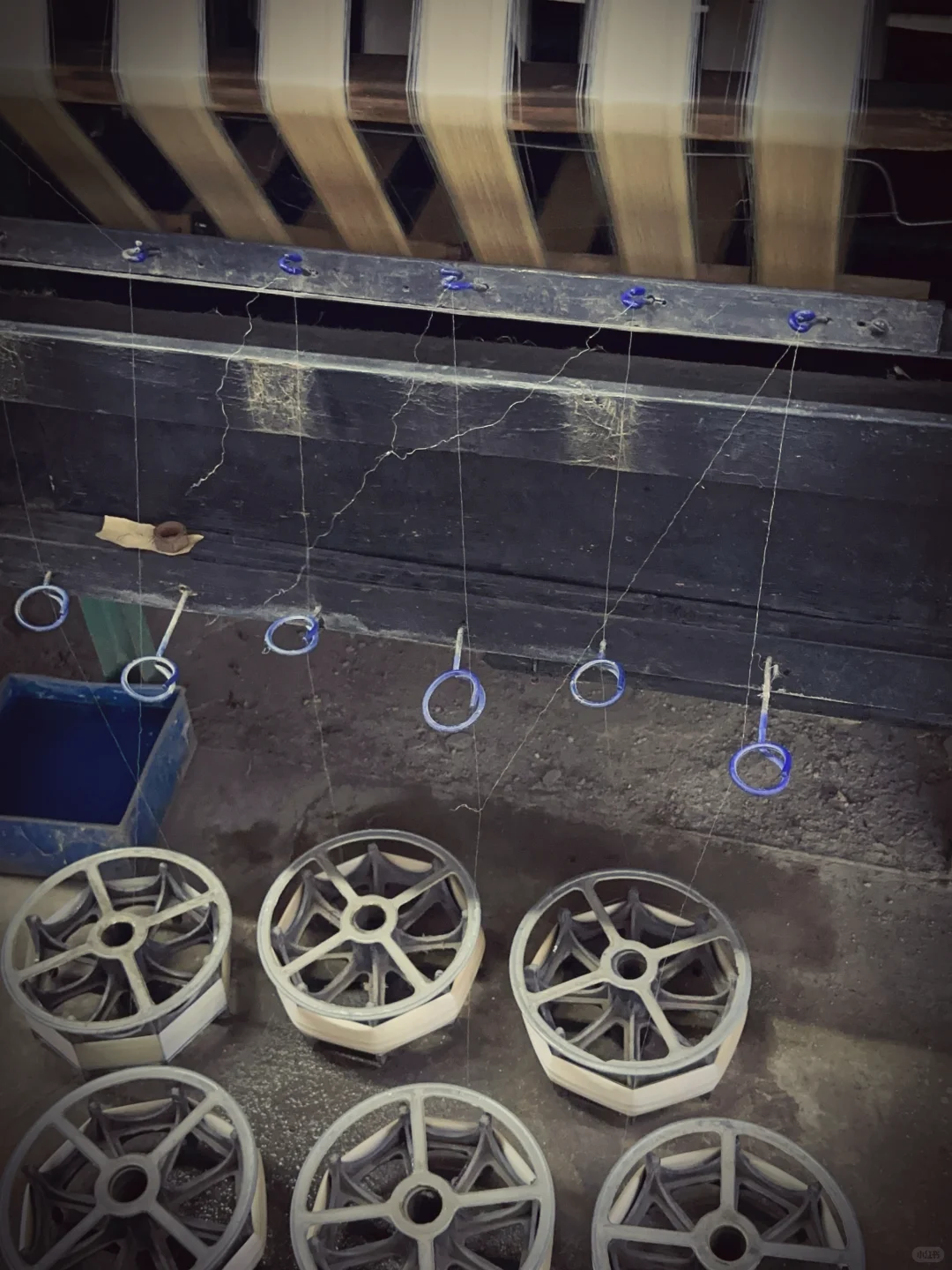 为热爱奔走的田野人