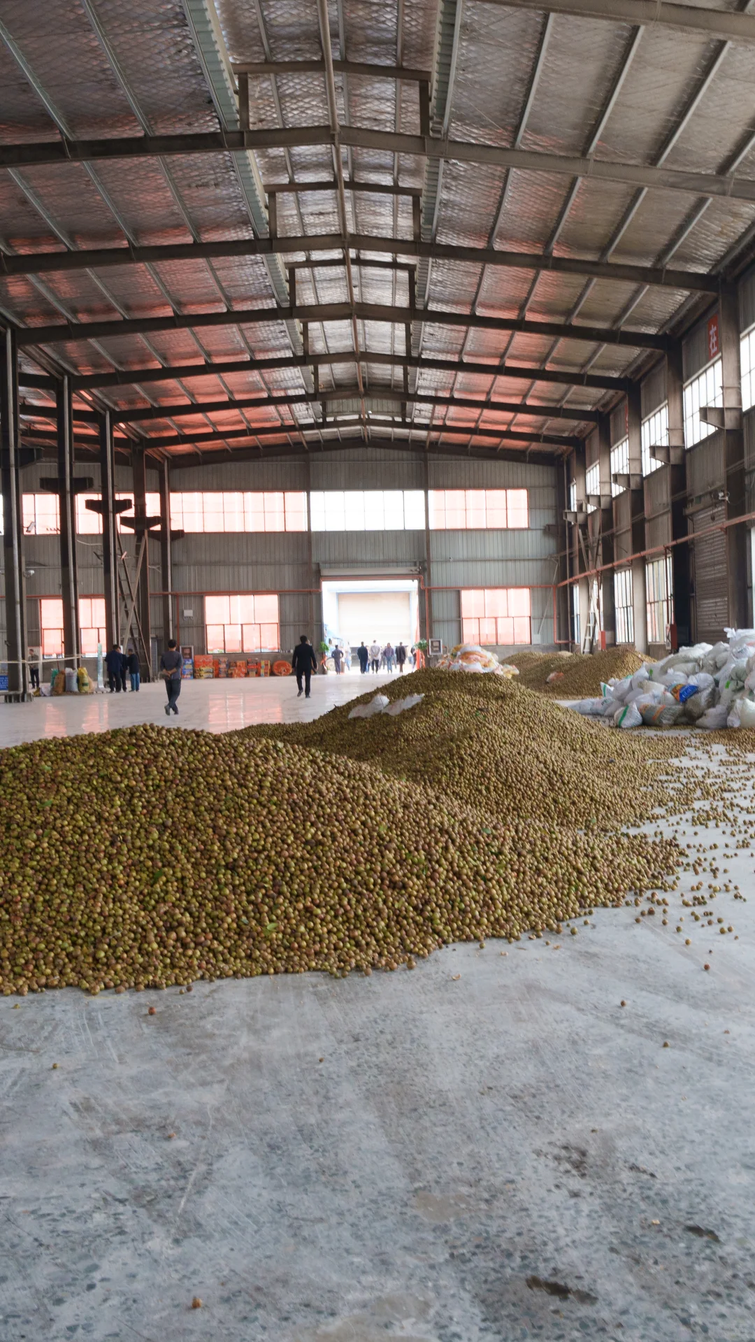 农村电商生活日常之外出参观全自动生产线