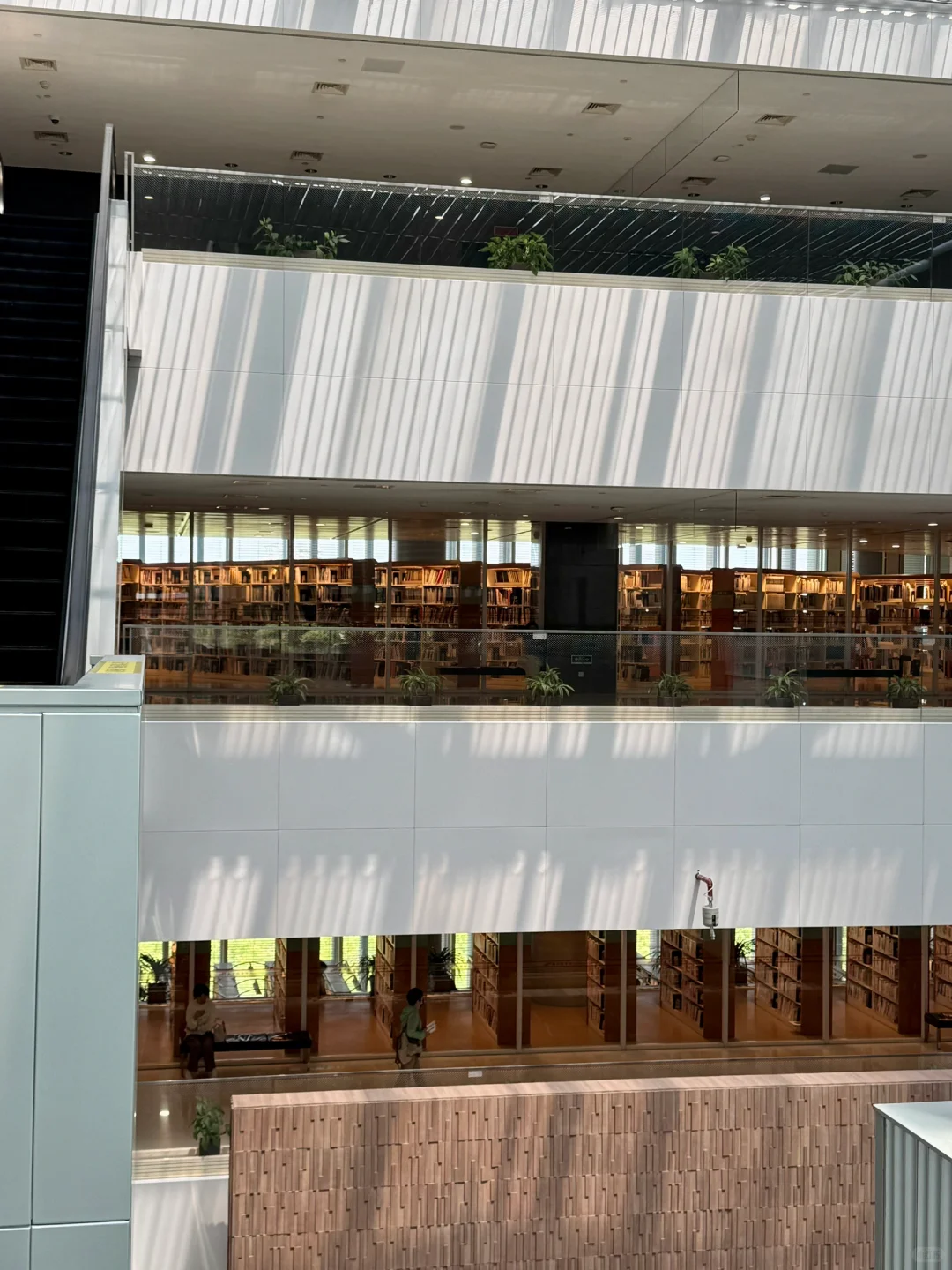 一个人去图书馆真的会上瘾