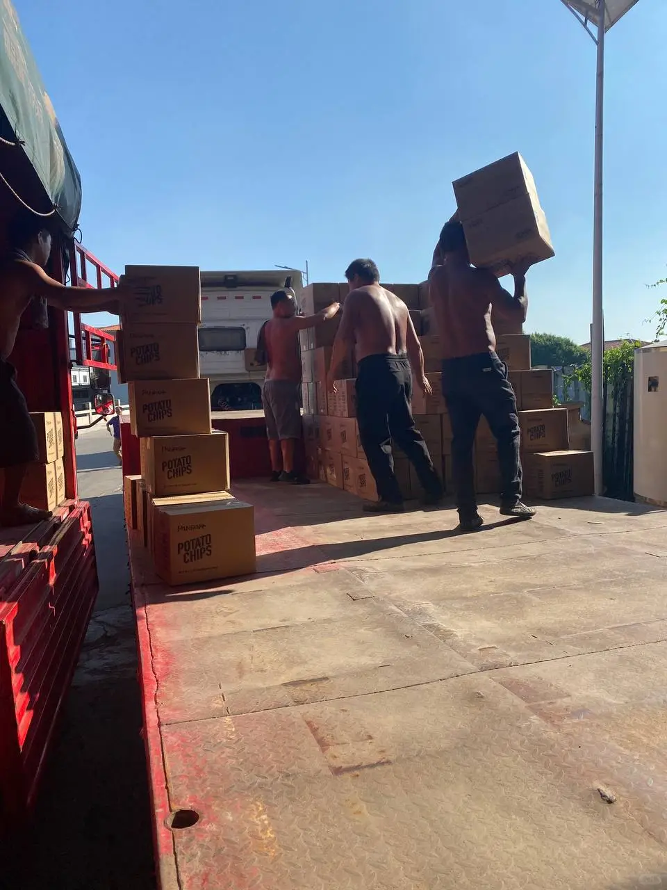 Трал | Trawl | 拖网