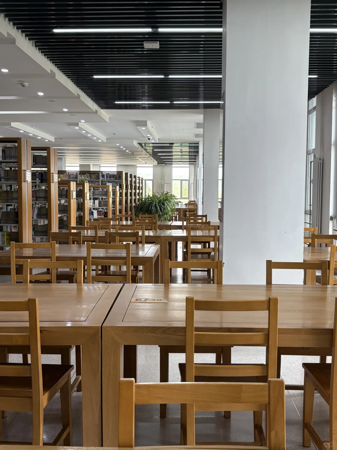 好想在图书馆看书