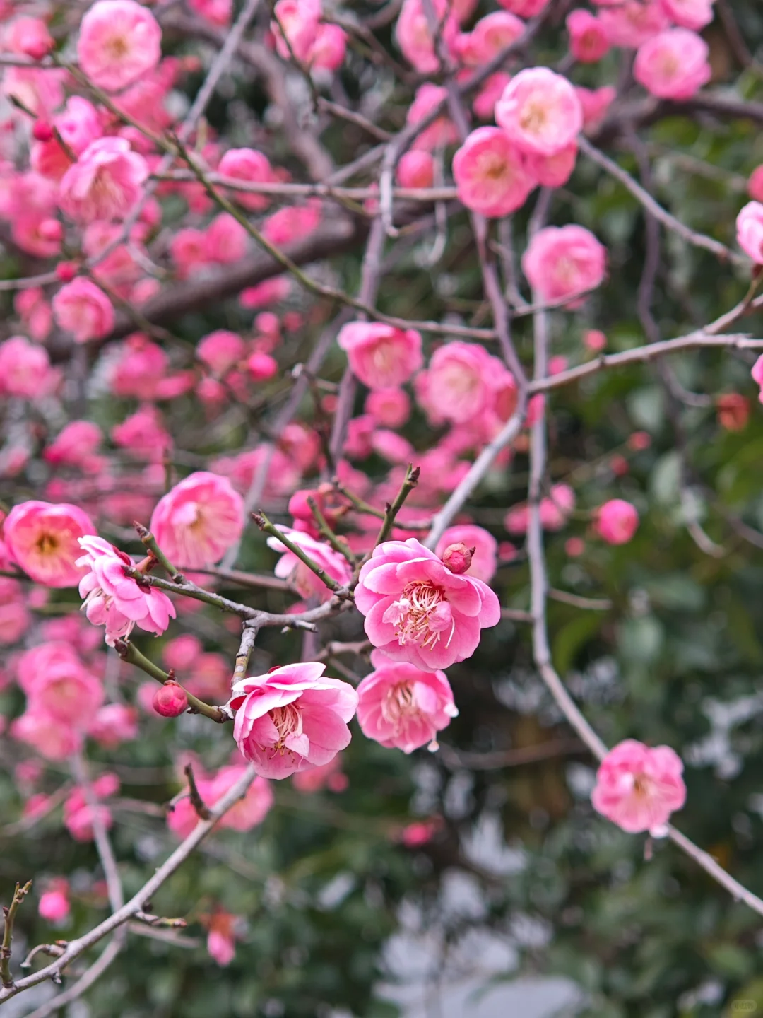 一百个赞离开图书馆