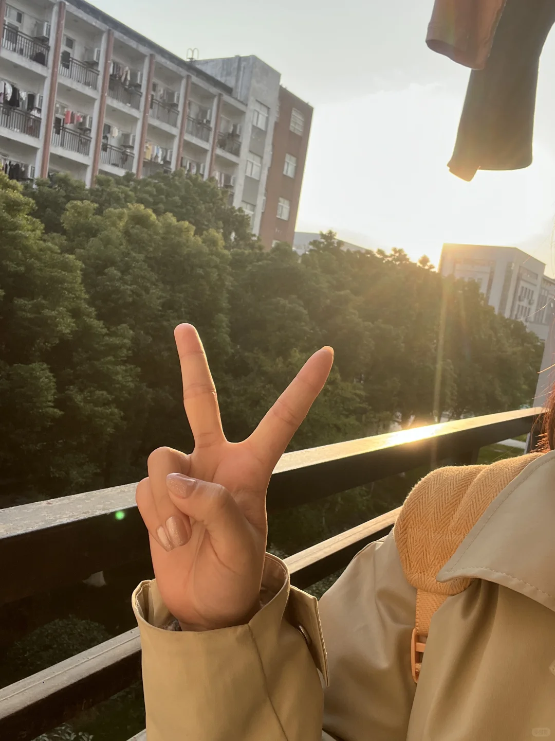 就在图书馆这样学学学（9h）