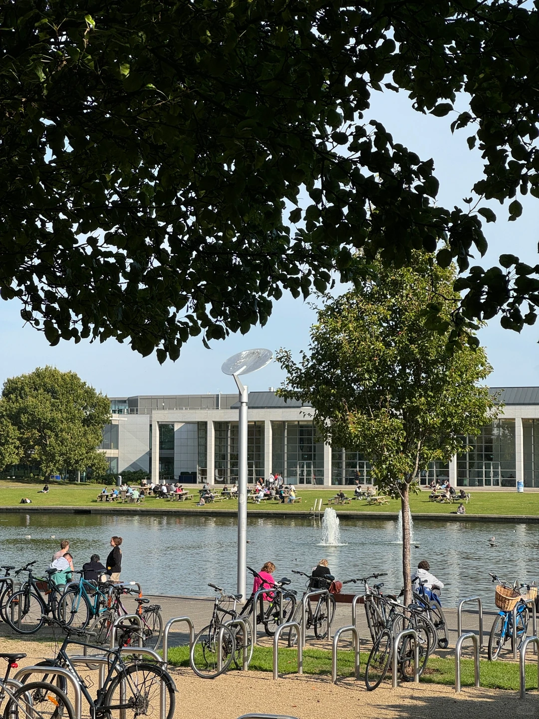 大家都是几点去图书馆抢座位的啊