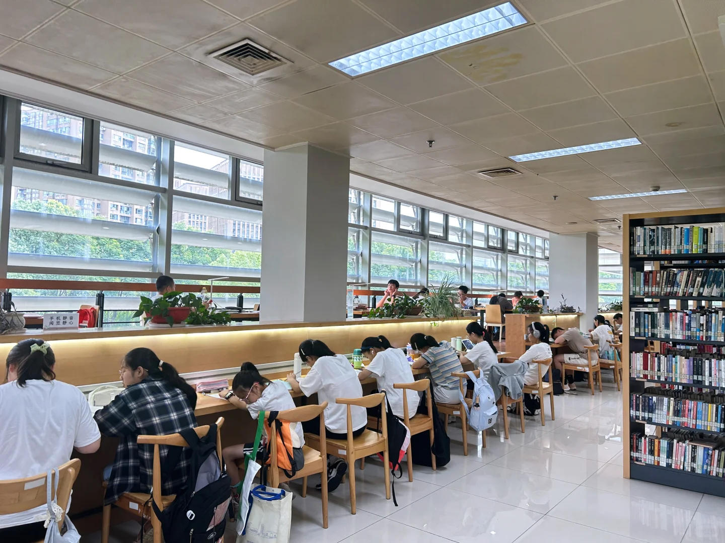 暑假，就应该在图书馆呆着~