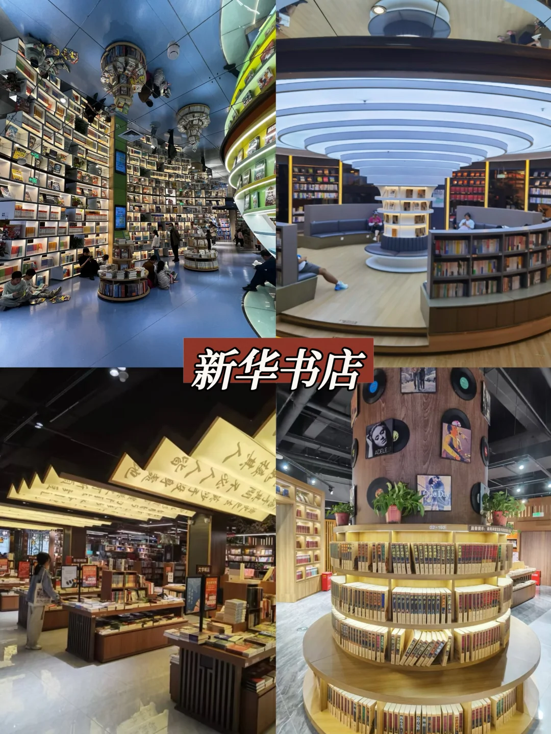 石家庄20家图书馆集锦，周末给大脑充个电