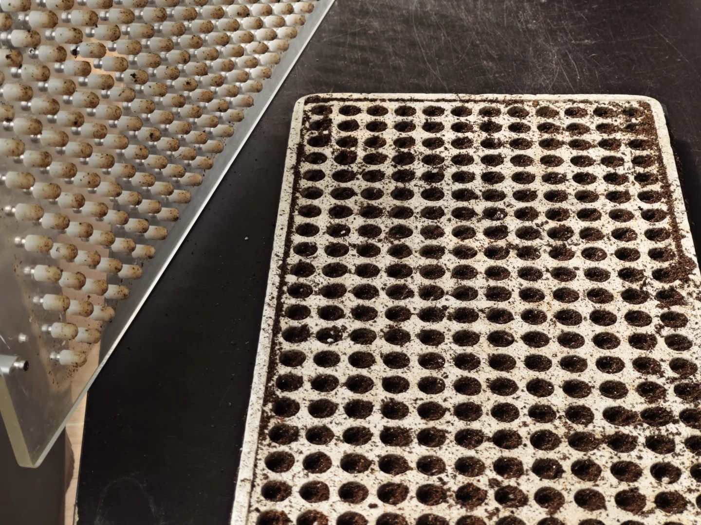 京东植物工厂参观：科技农业的硬核体验?