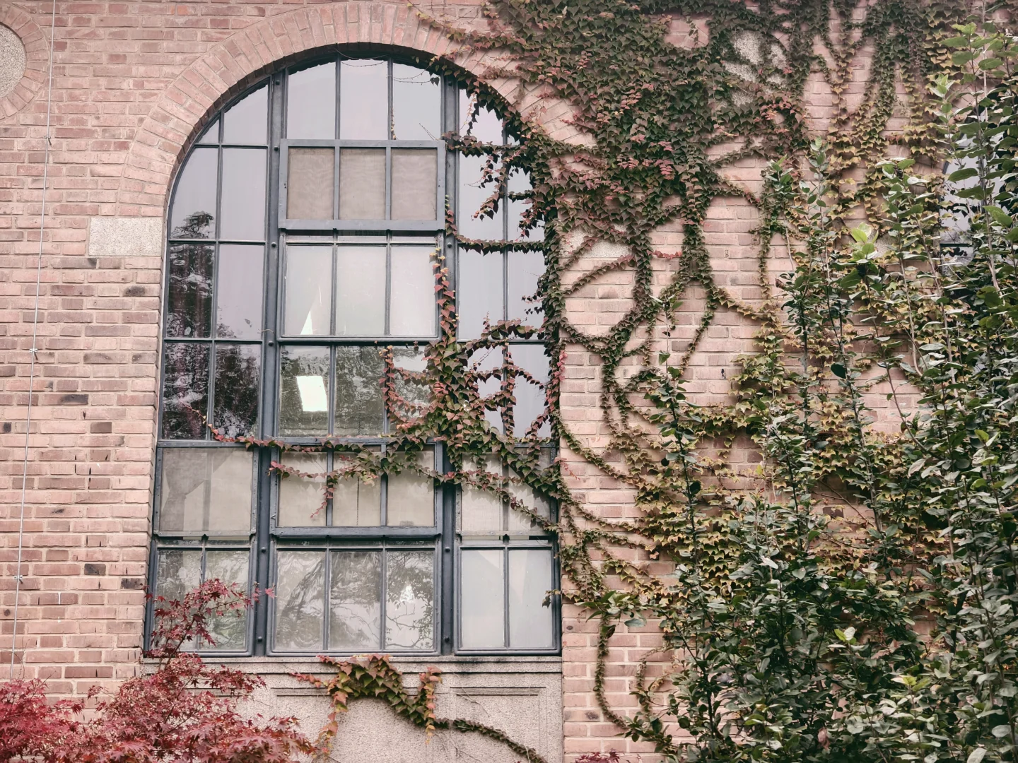 漫卷·象牙塔：清华大学 | 图书馆