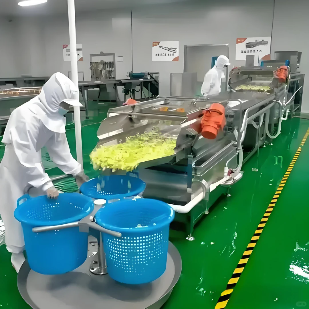 以净菜加工生产线设备为引擎，驱动乡村振兴