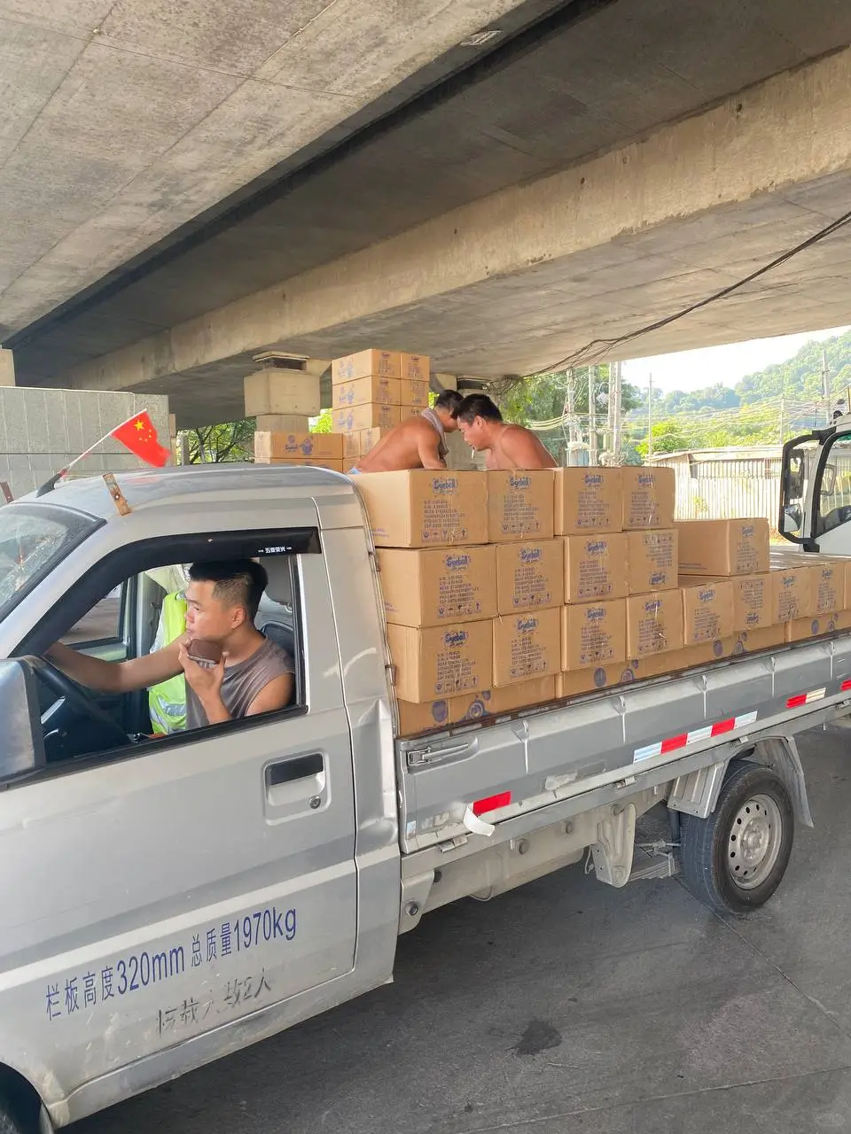 Трал | Trawl | 拖网