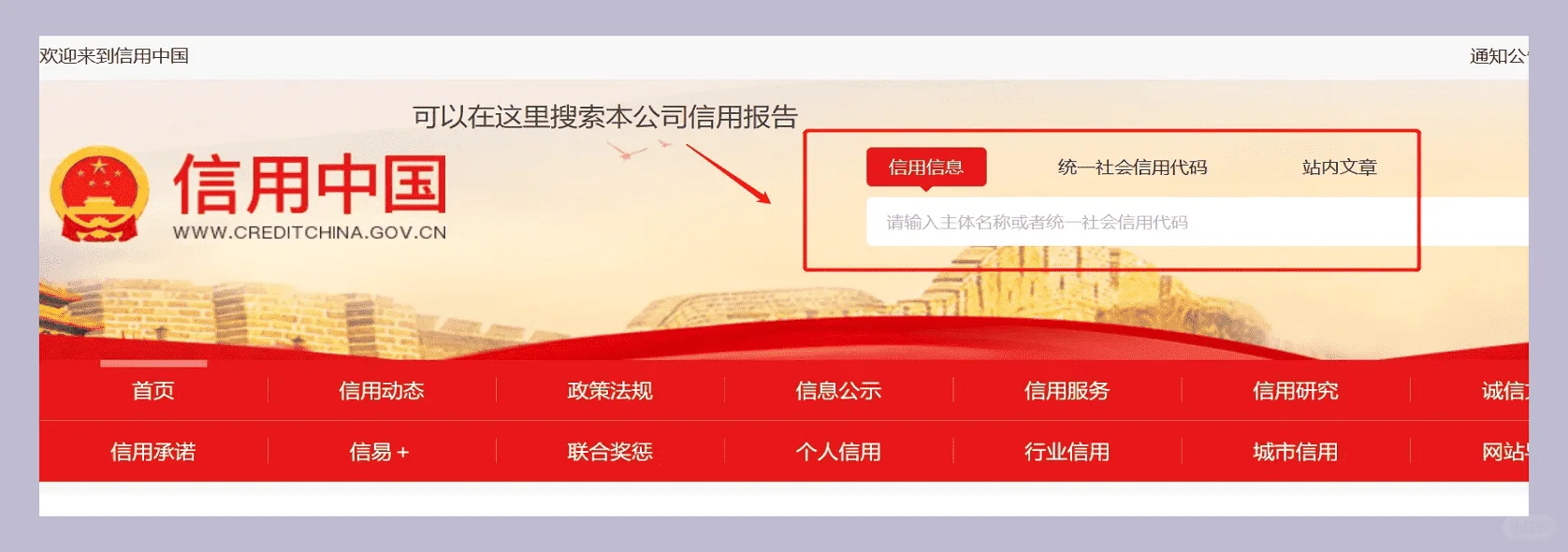 标书（响应文件）的编写