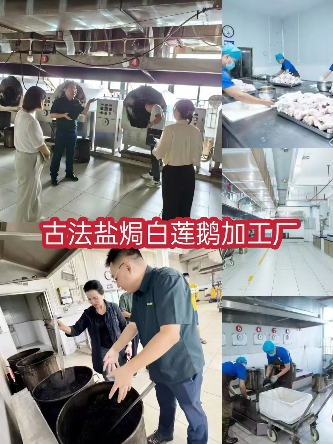 白莲鹅集团简介