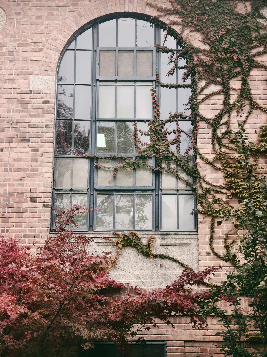 漫卷·象牙塔：清华大学 | 图书馆