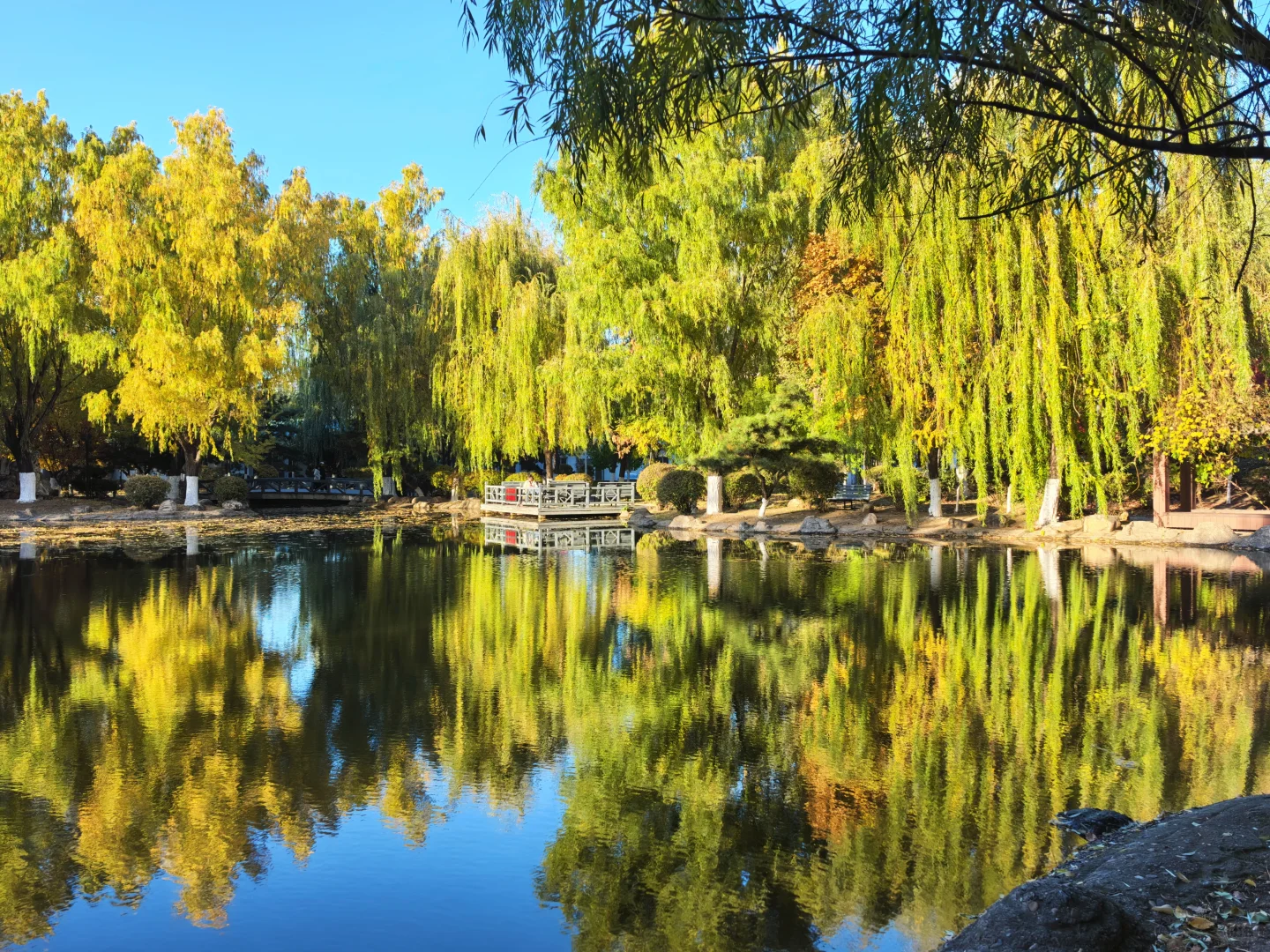 沈阳大学等你到来