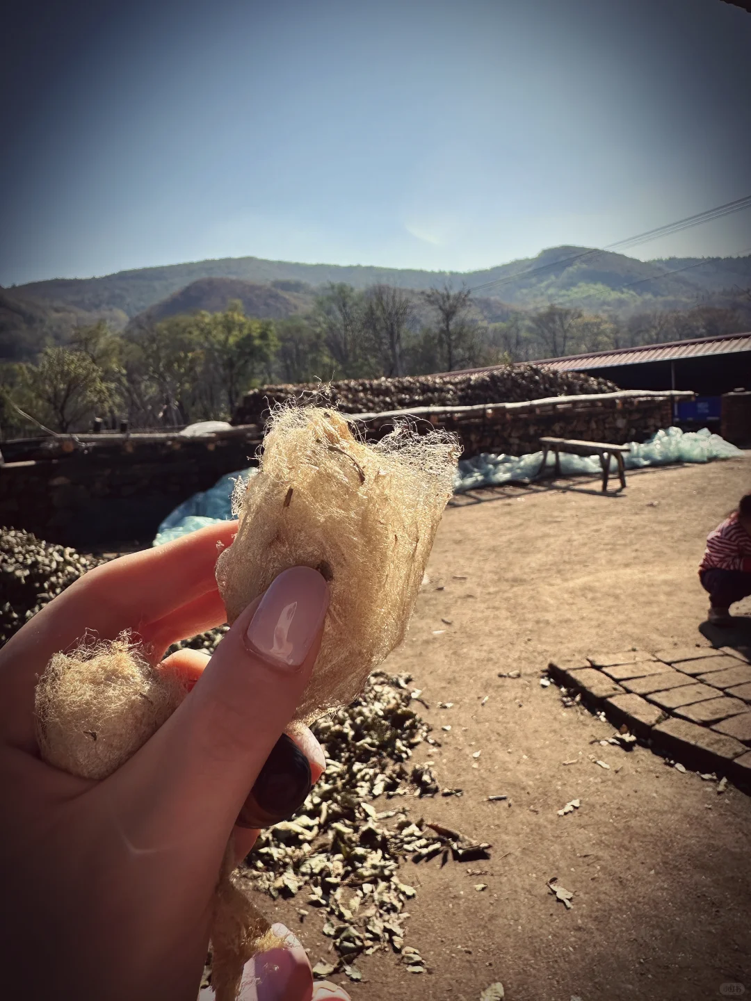 为热爱奔走的田野人
