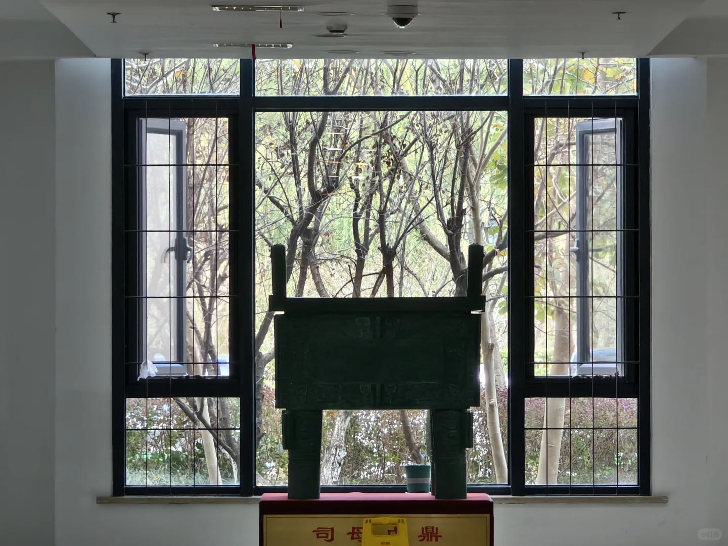 漫卷·象牙塔：上海交通大学 | 图书馆