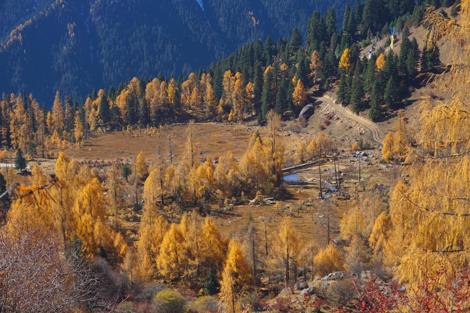 川西系列～小金～大坪牧业村～龙头滩