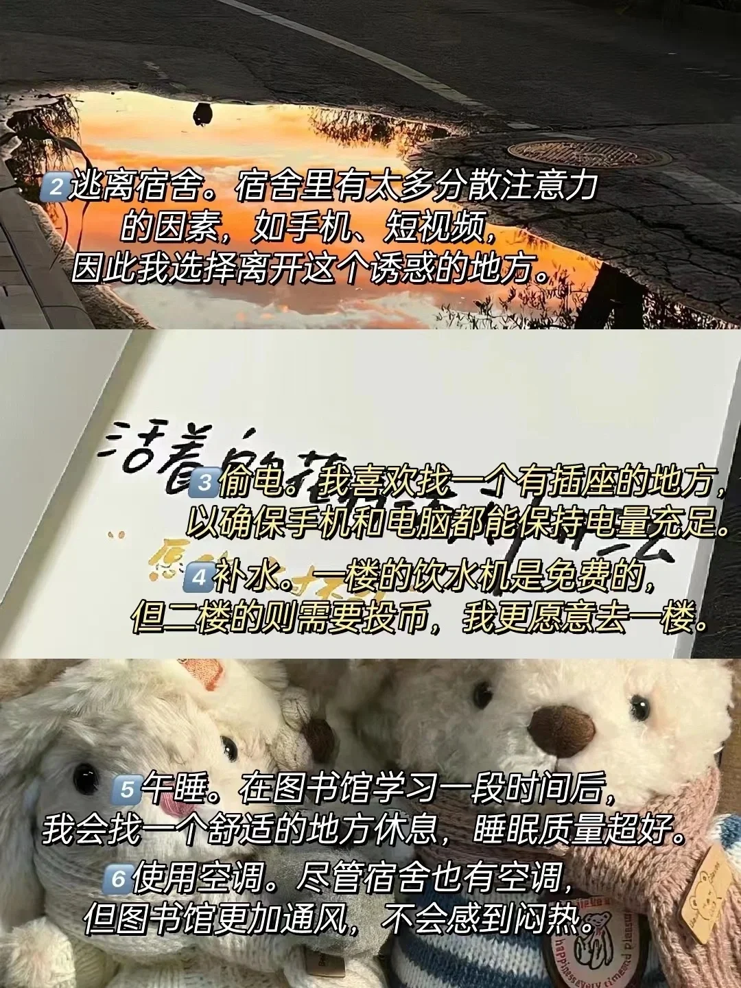 终于知道为什么有人能在图书馆学一整天