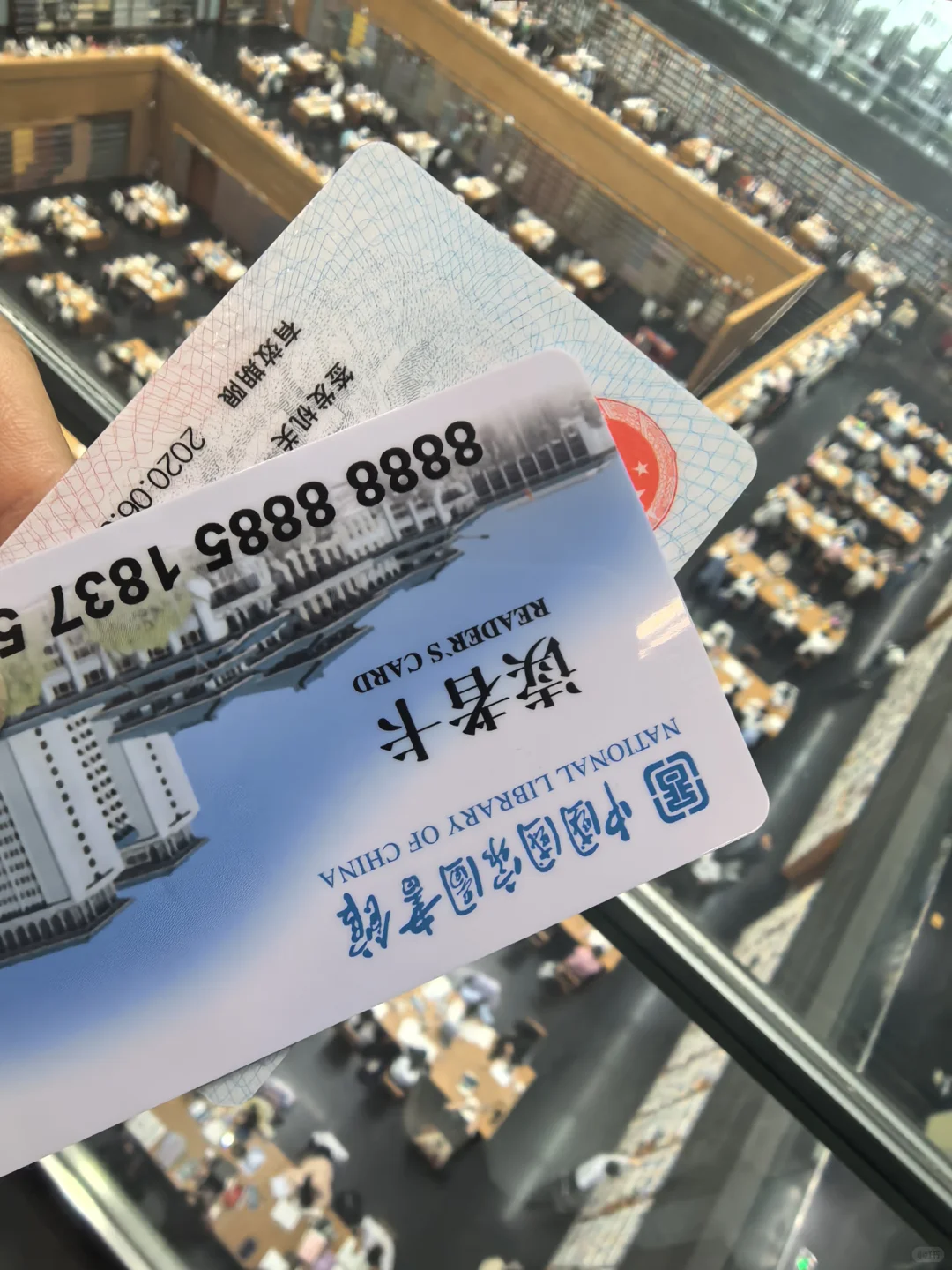 氛围感拉满，亚洲第一的图书馆