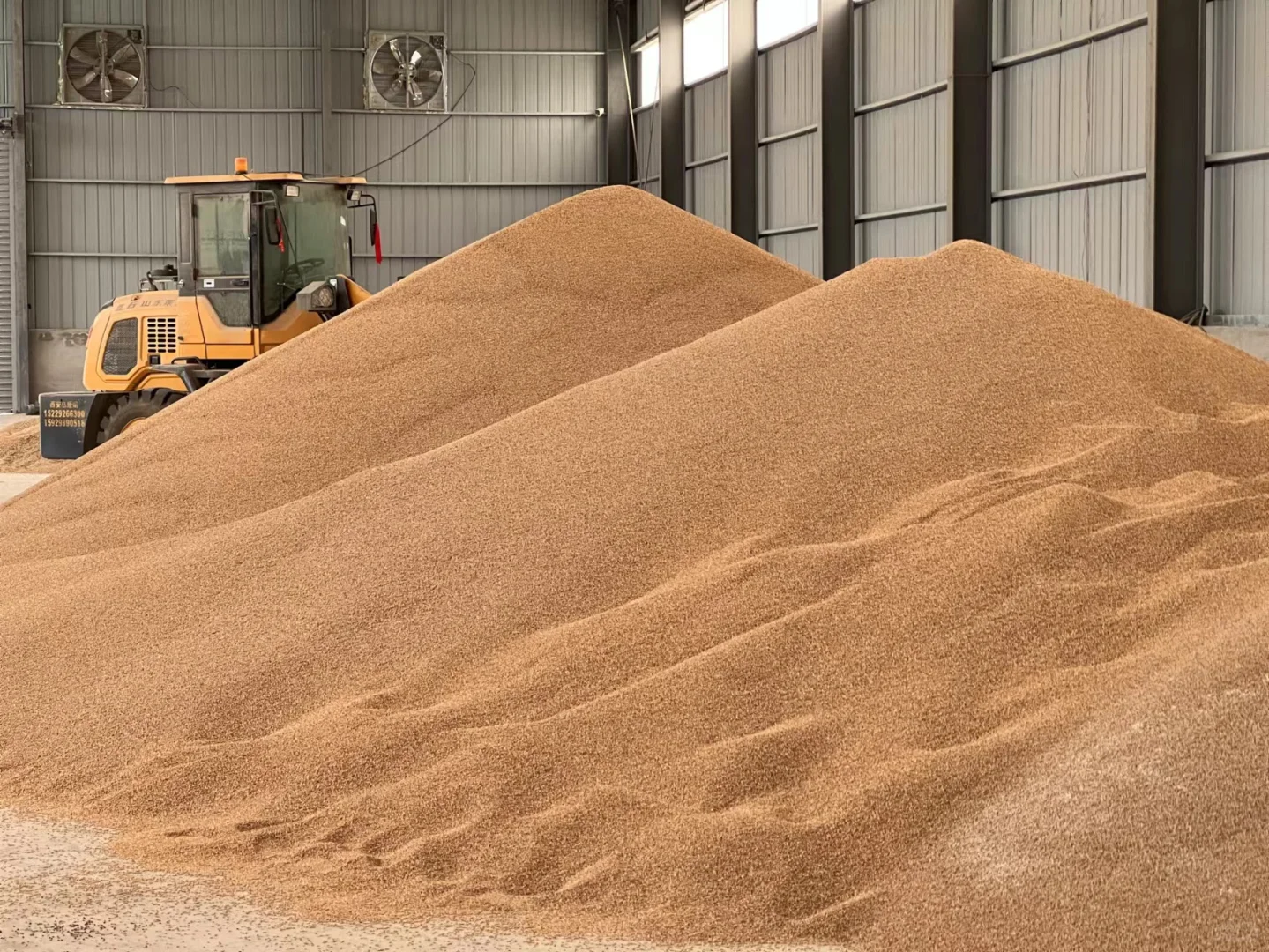 走进小麦加工基地