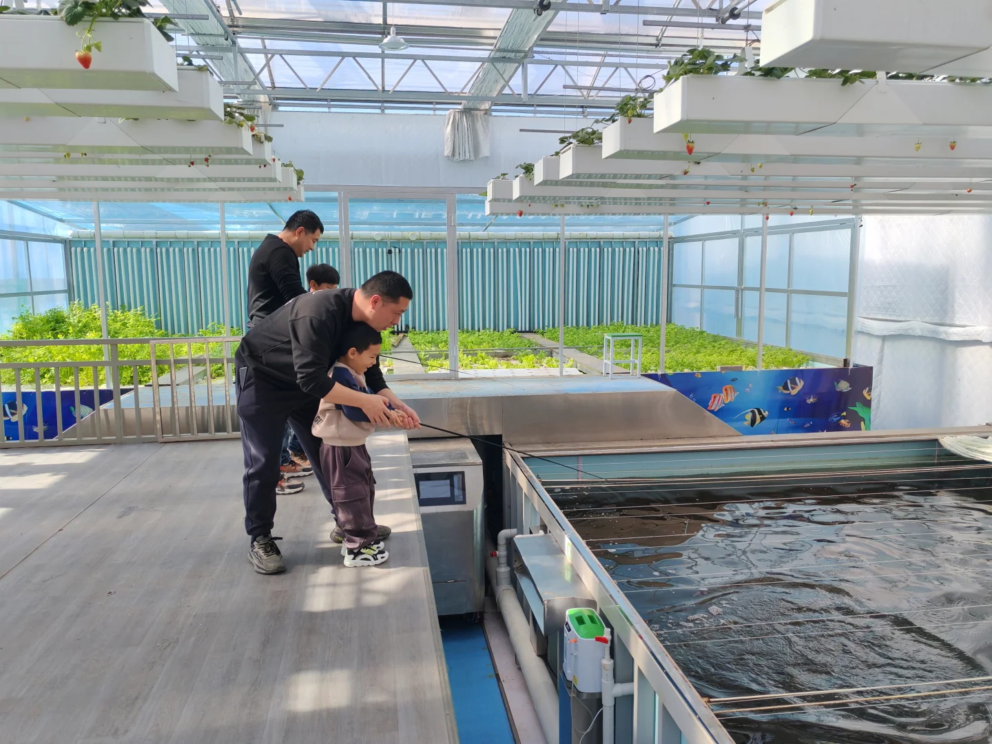 ?智慧农业工厂大揭秘！“未来种菜”模式