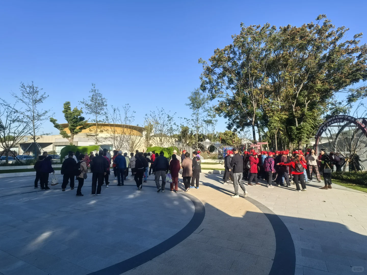 又是元气满满的一天?