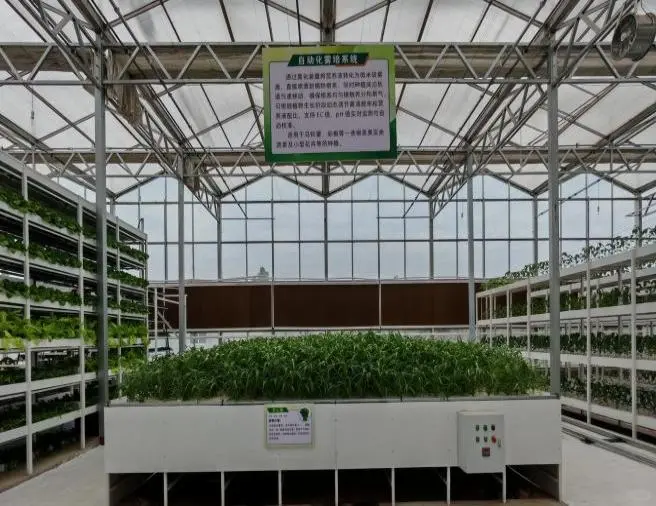 ?智慧农业工厂大揭秘！“未来种菜”模式