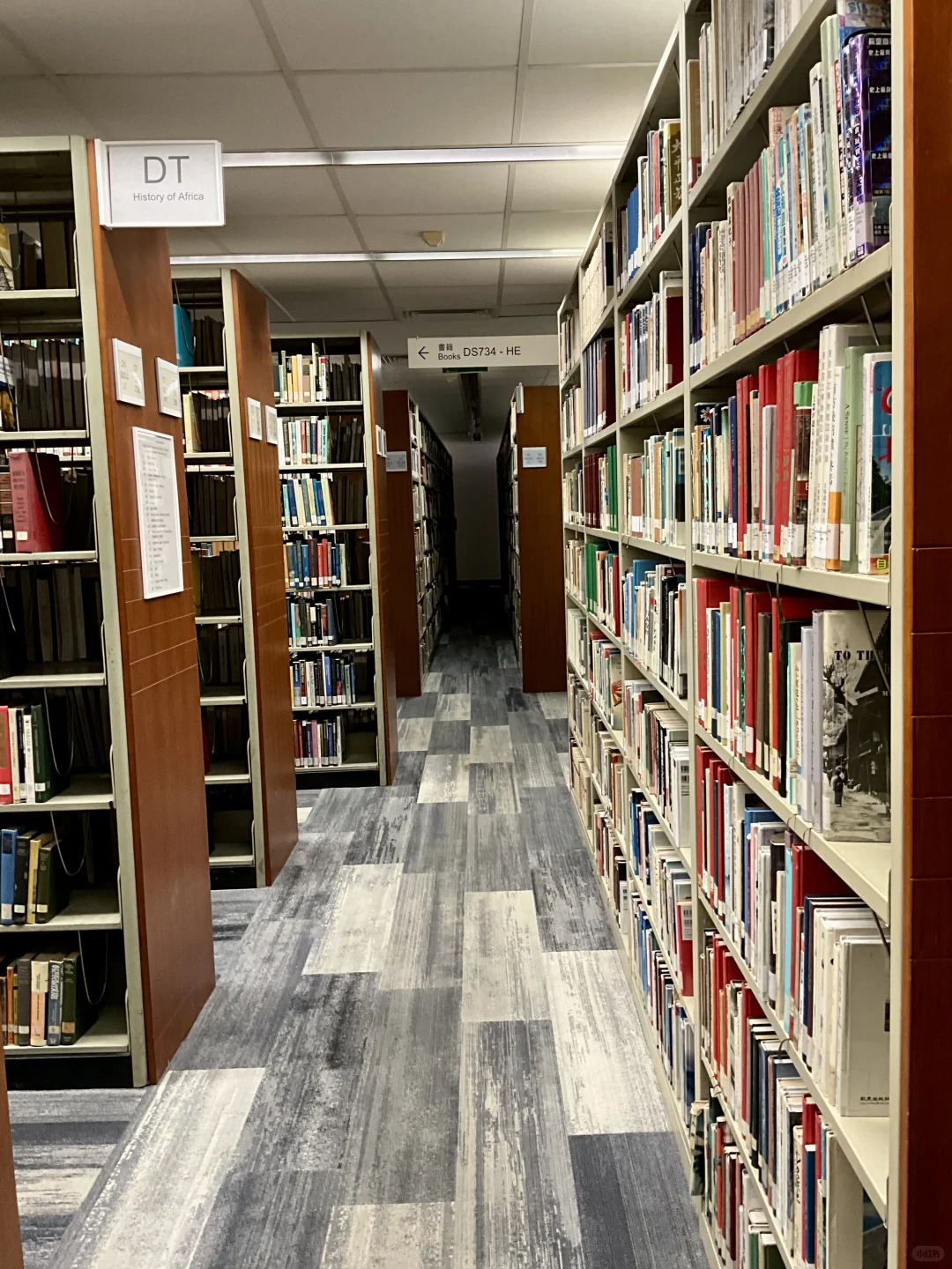 被书围抱着 像在家一样安心