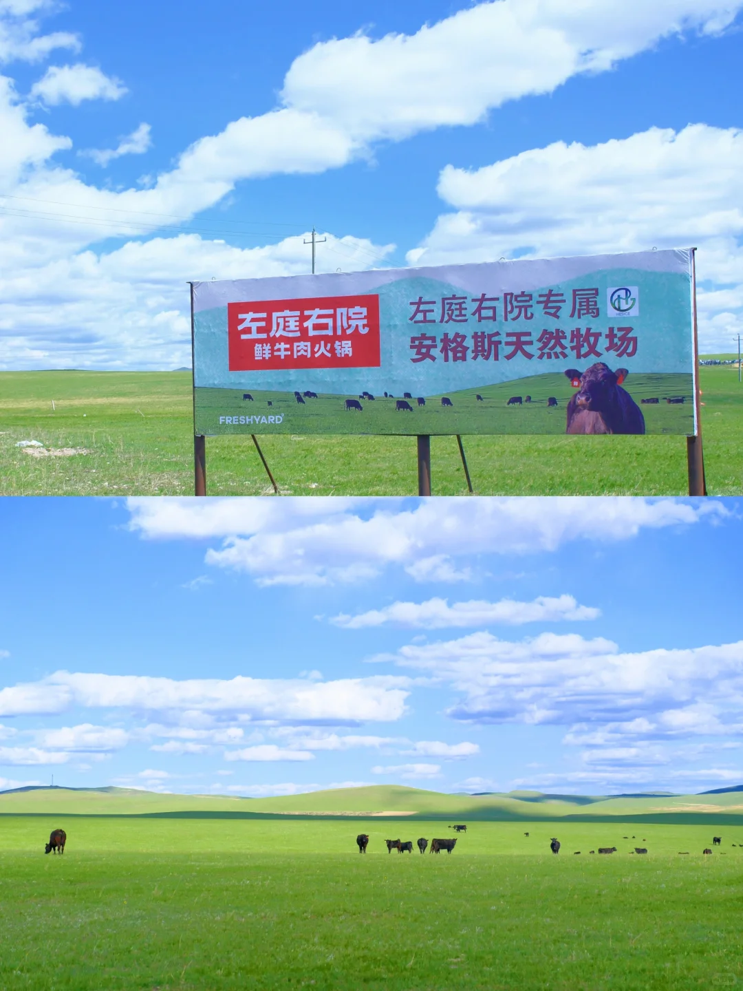 要让所有人都知道，整片牧场都为你承包了❗