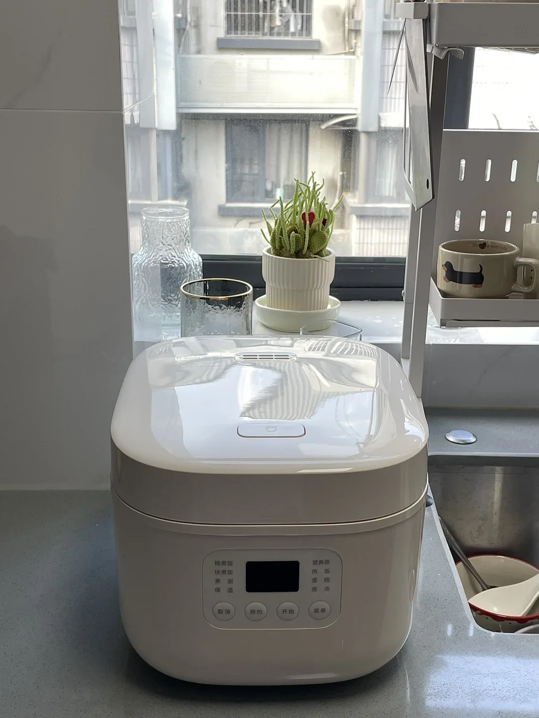 我愿称之为神仙电饭煲