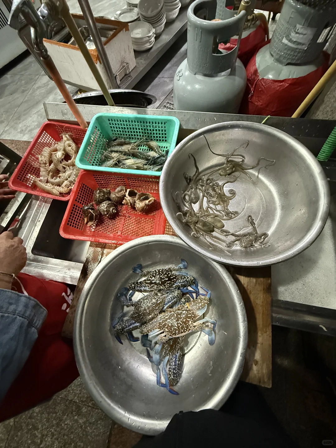 霞浦｜海鲜加工 （省钱又能吃到美味）