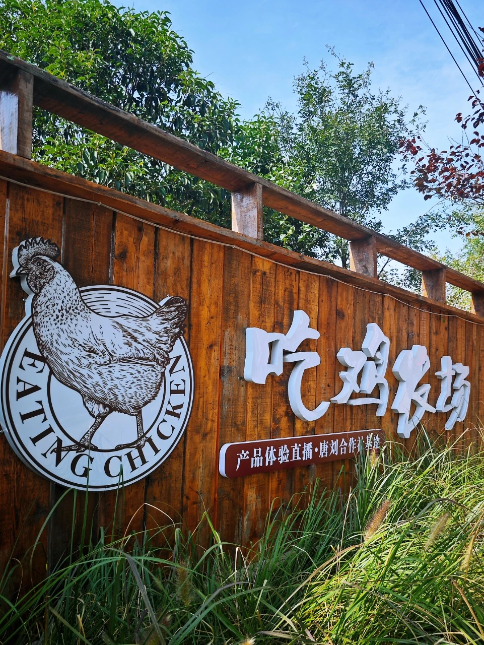 吃?鸡农场，一场美味与欢乐的邂逅?