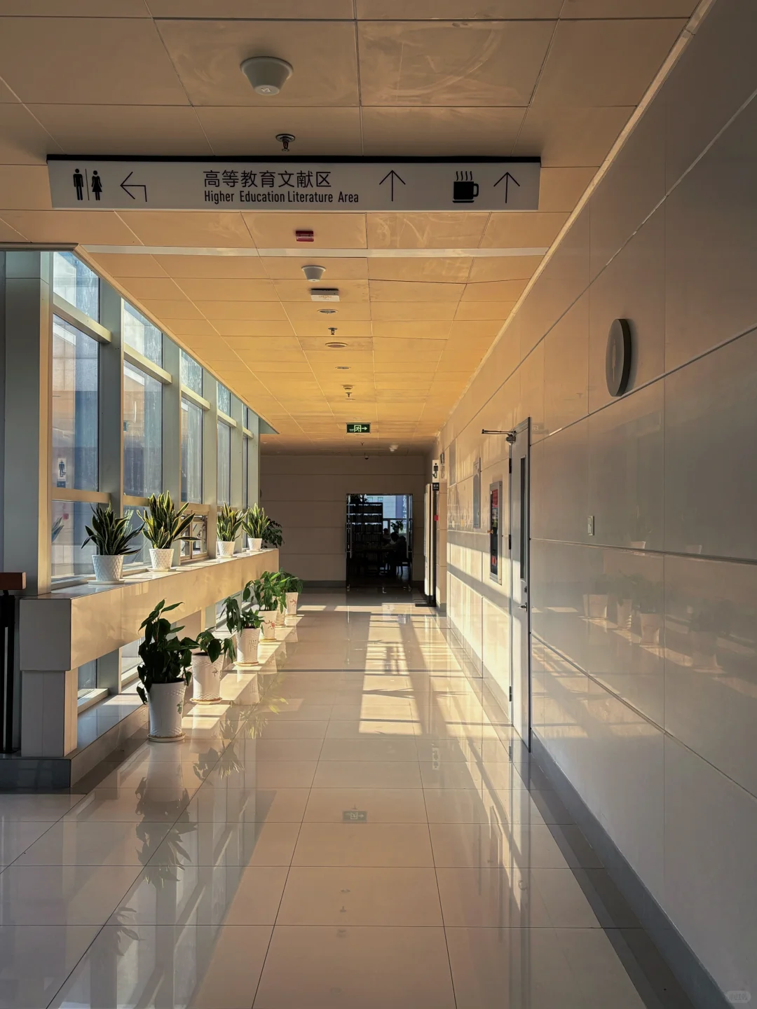 不止迪迦，图书馆里也有“光”的力量