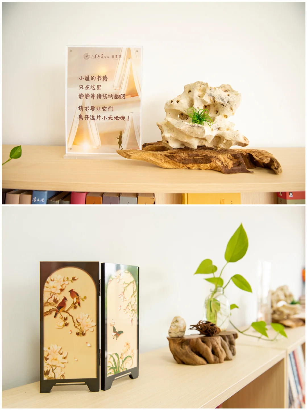 带你云游山威图书馆