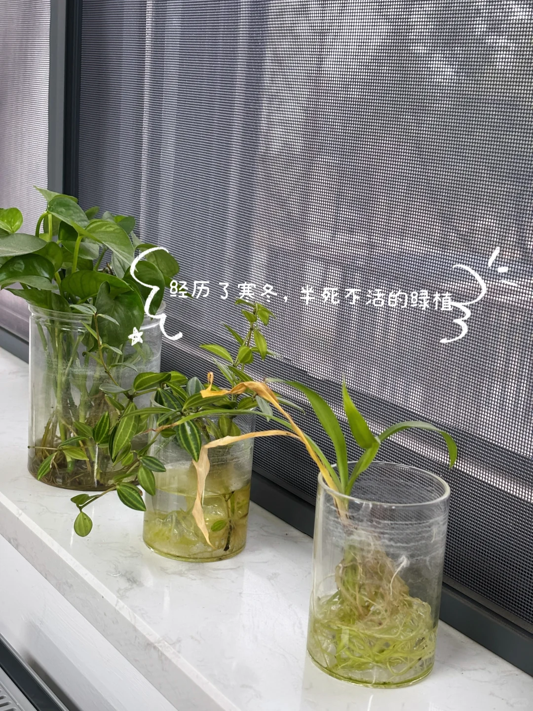 高校图书管理员日常｜开学第一天的崩溃PLOG