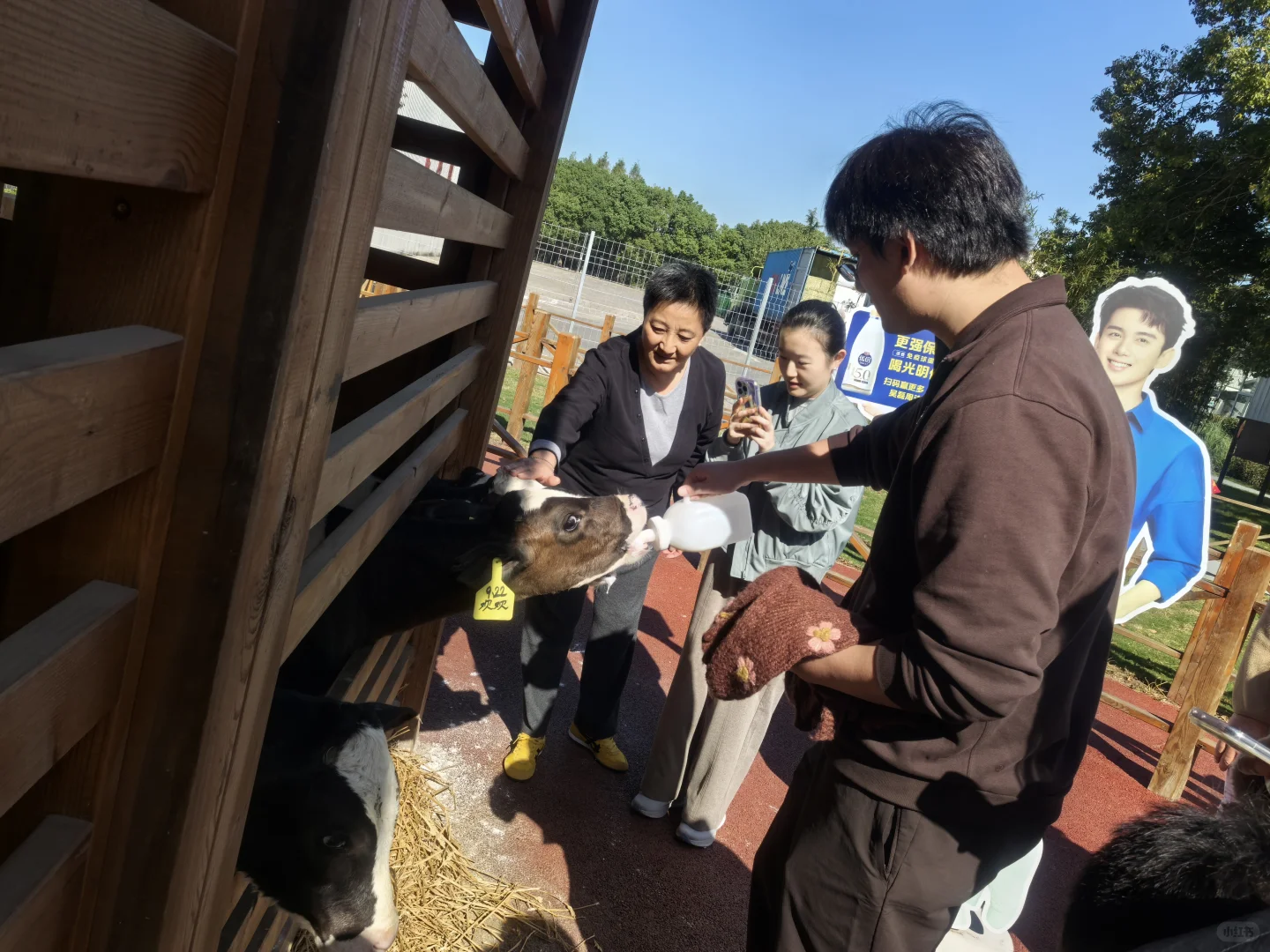 又是元气满满的一天?