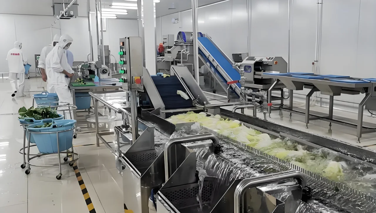 以净菜加工生产线设备为引擎，驱动乡村振兴