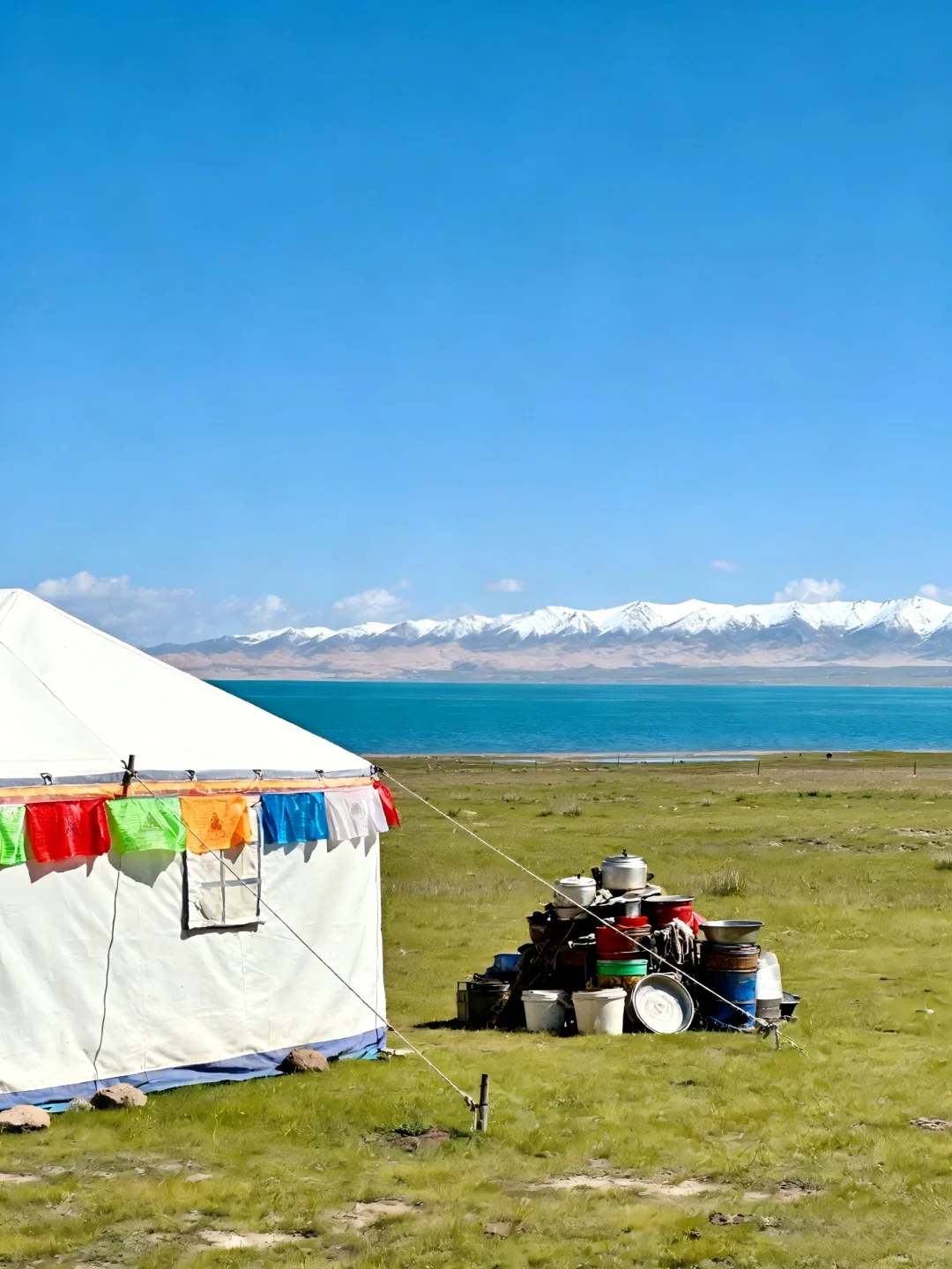 我们为何扎根于这片高原？为什么是青海？