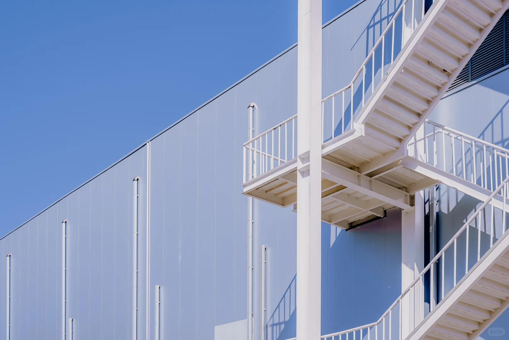 工业纪实｜当农业基因遇见智能工厂