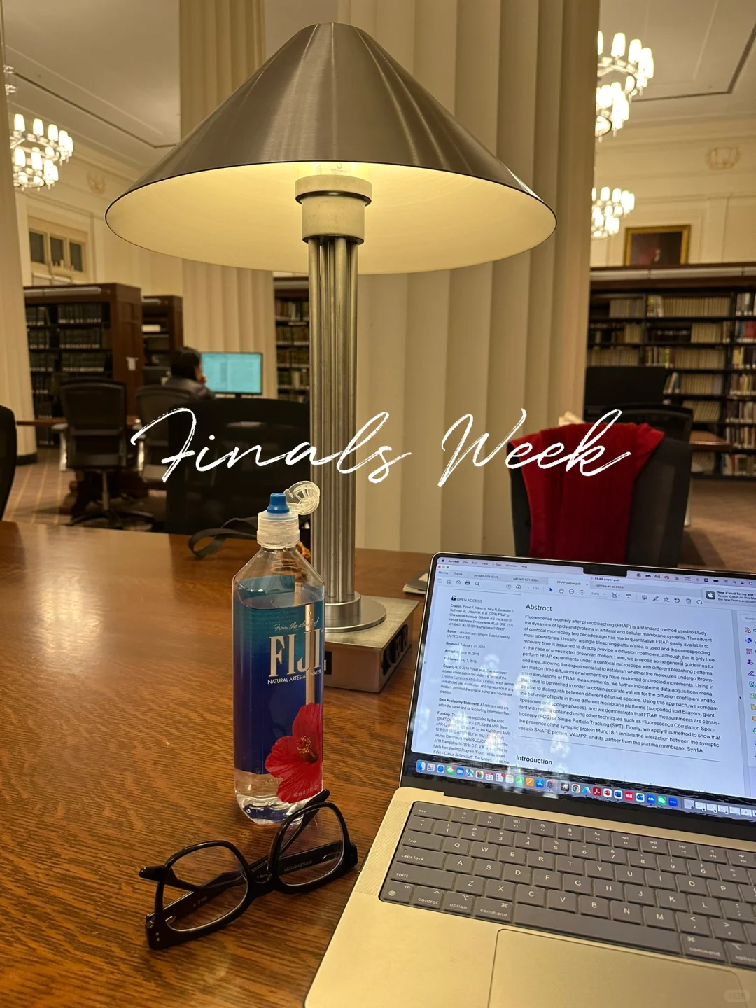哈佛期末周｜在法学院图书馆疯狂学???