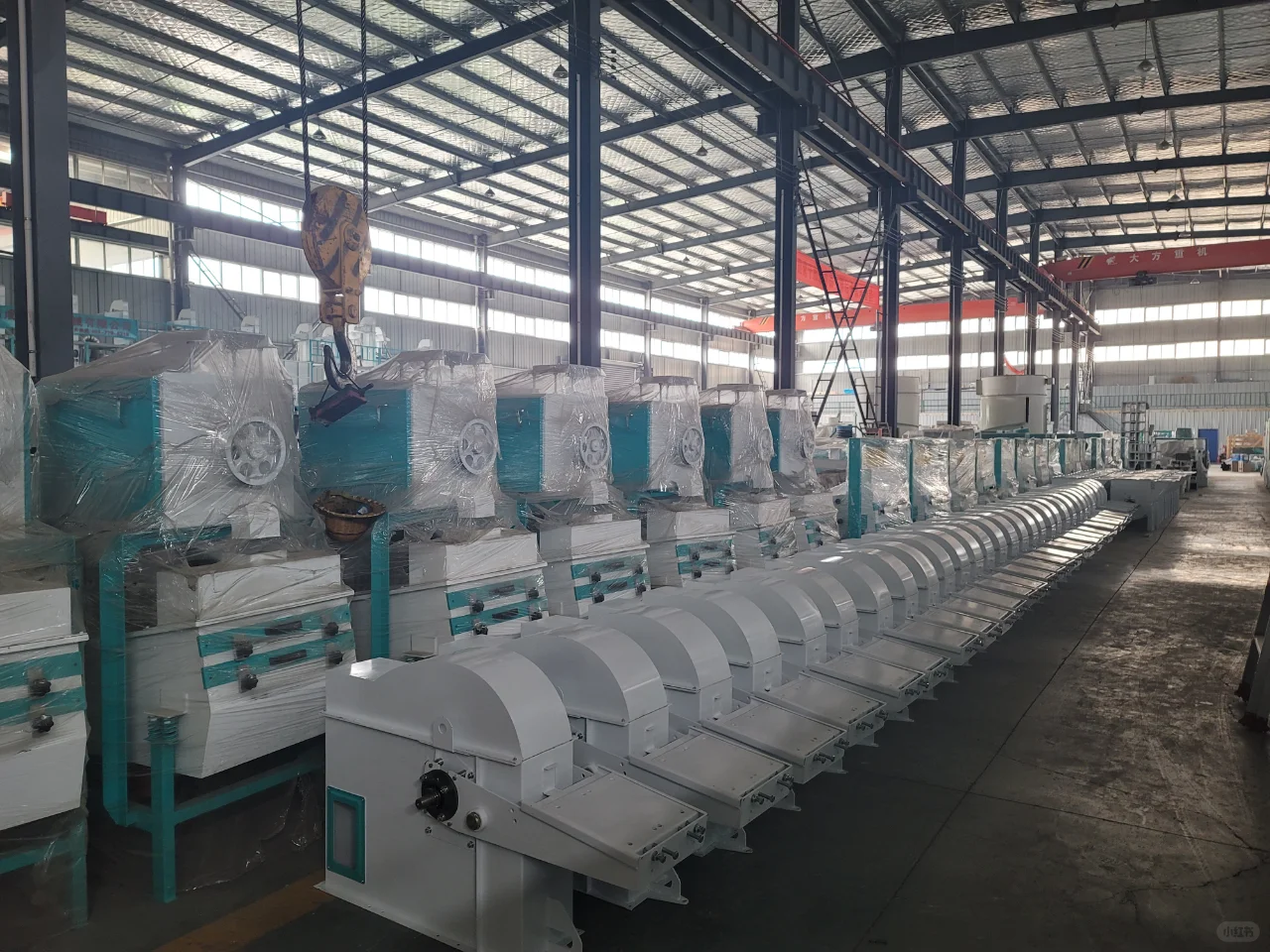 成套日产30吨玉米糁加工设备生产厂家推荐