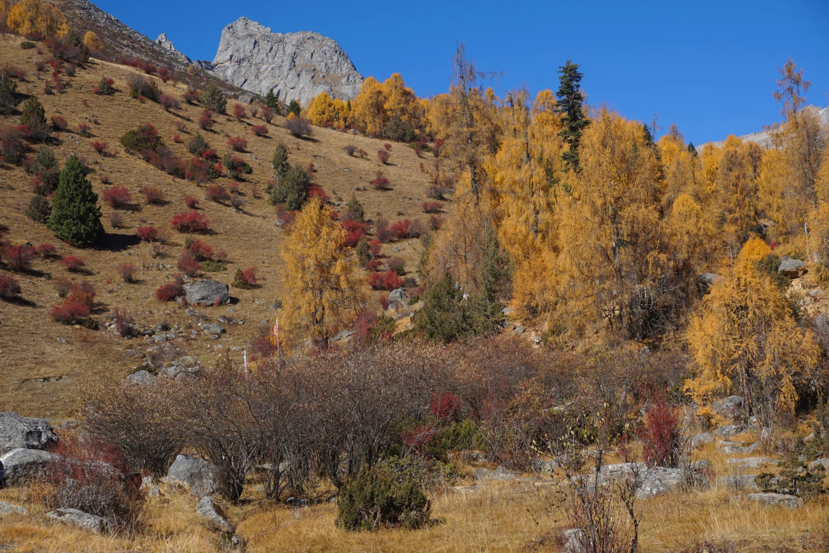 川西系列～小金～大坪牧业村～龙头滩