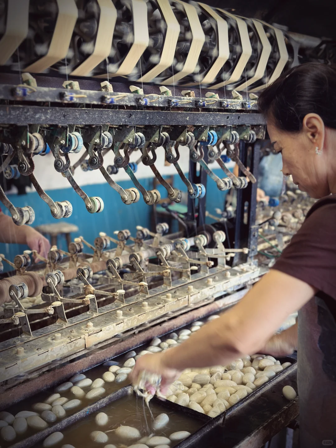 为热爱奔走的田野人