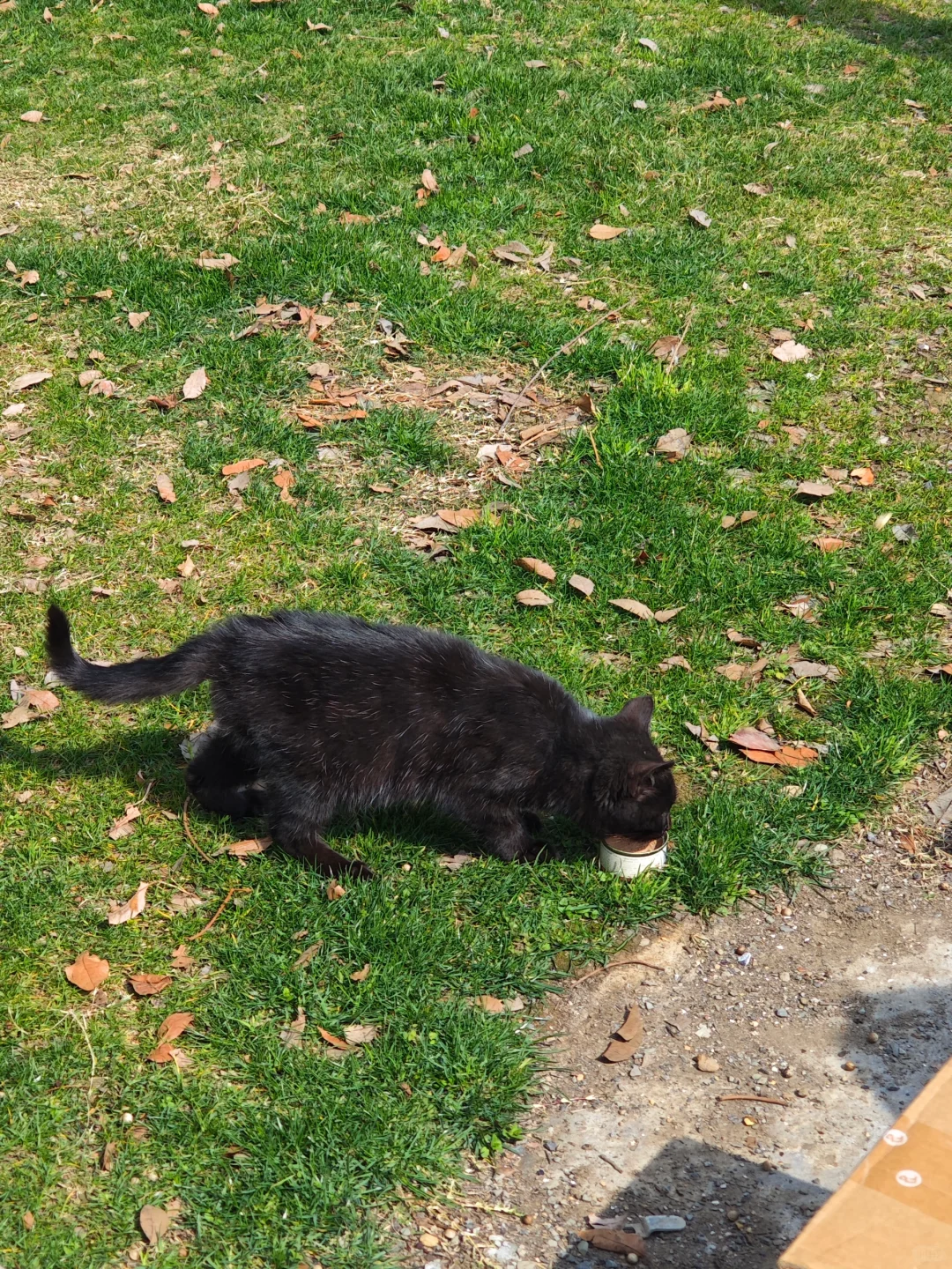 一百个赞离开图书馆