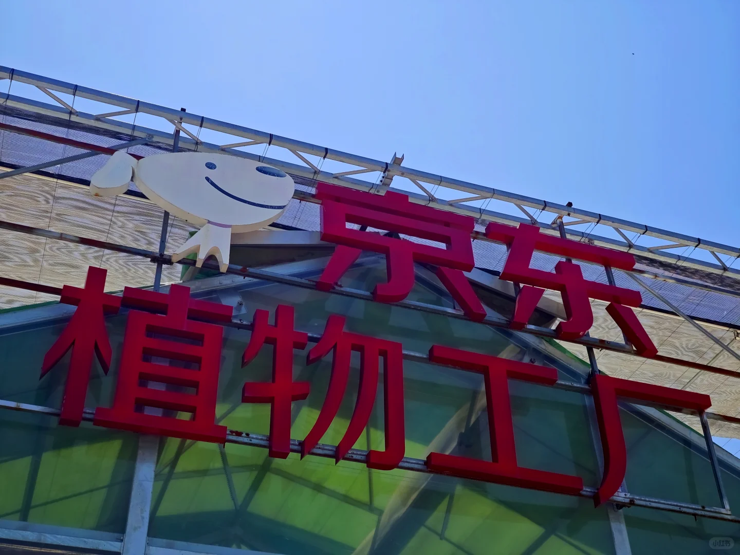 京东植物工厂参观：科技农业的硬核体验?