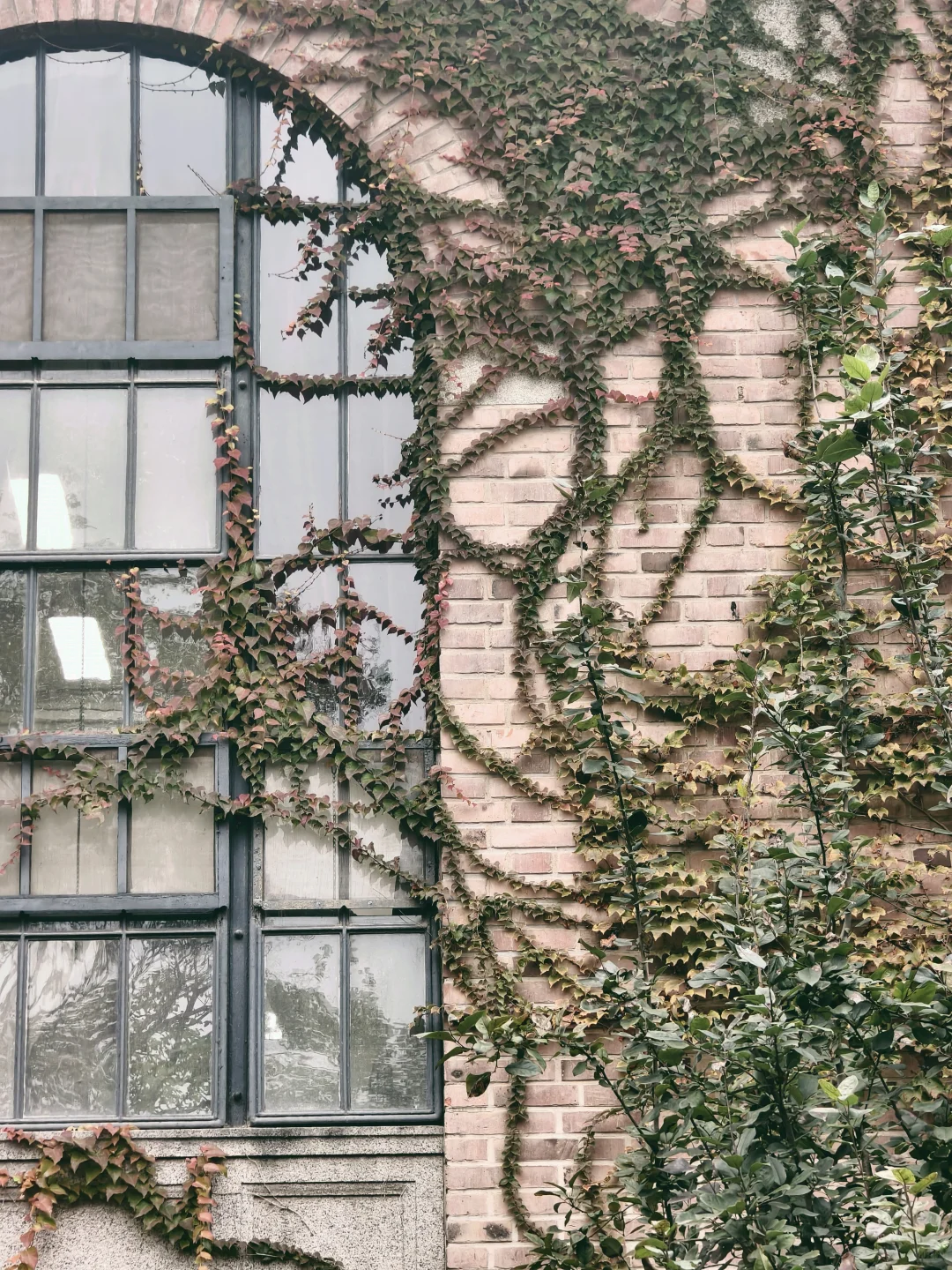 漫卷·象牙塔：清华大学 | 图书馆