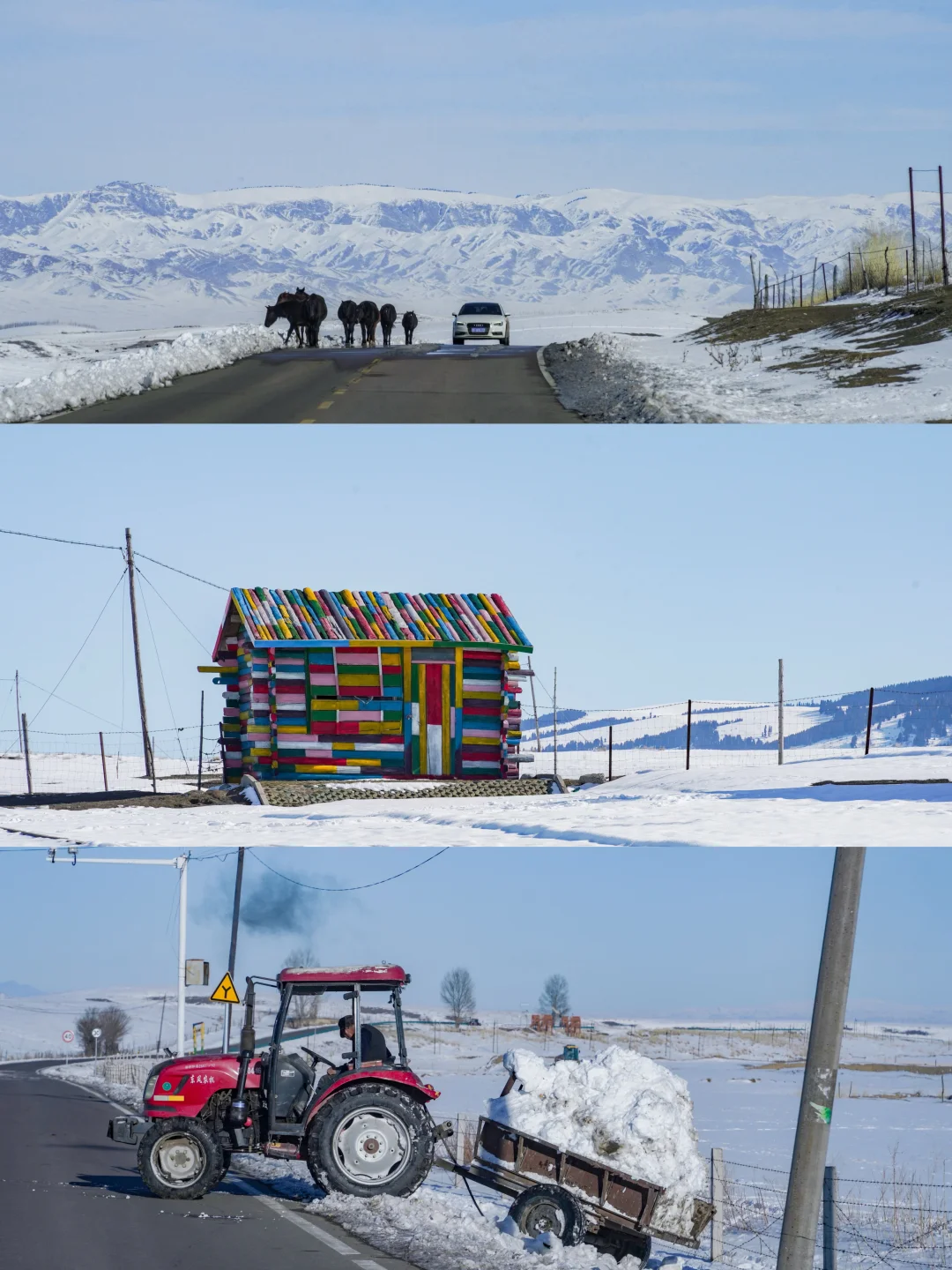 新疆踩线手记｜伊犁我最爱的冬天，原来在昭苏