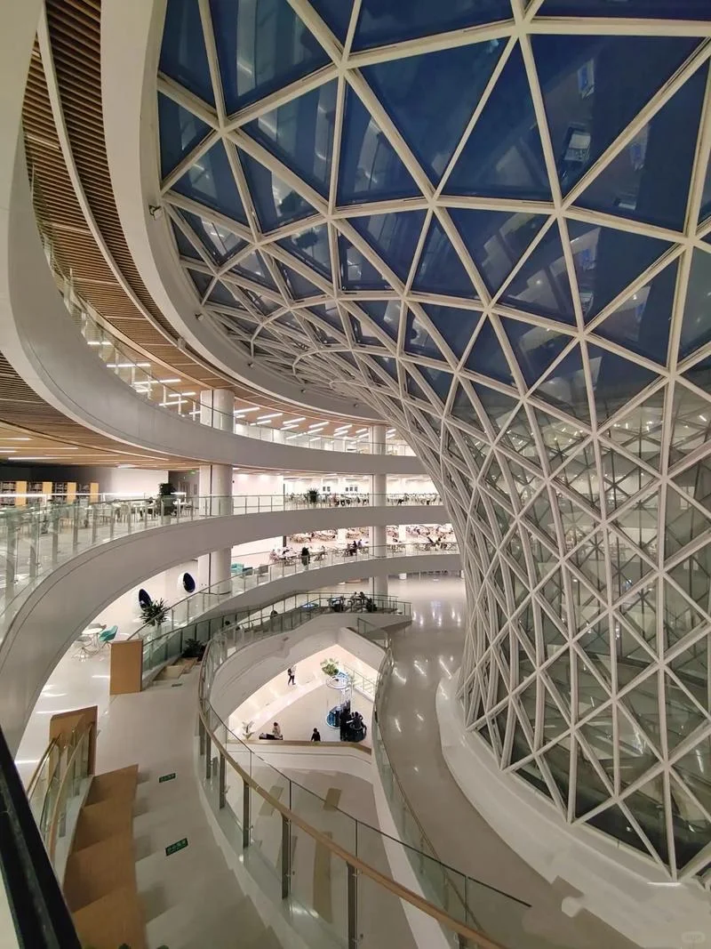 沈阳大学图书馆印象