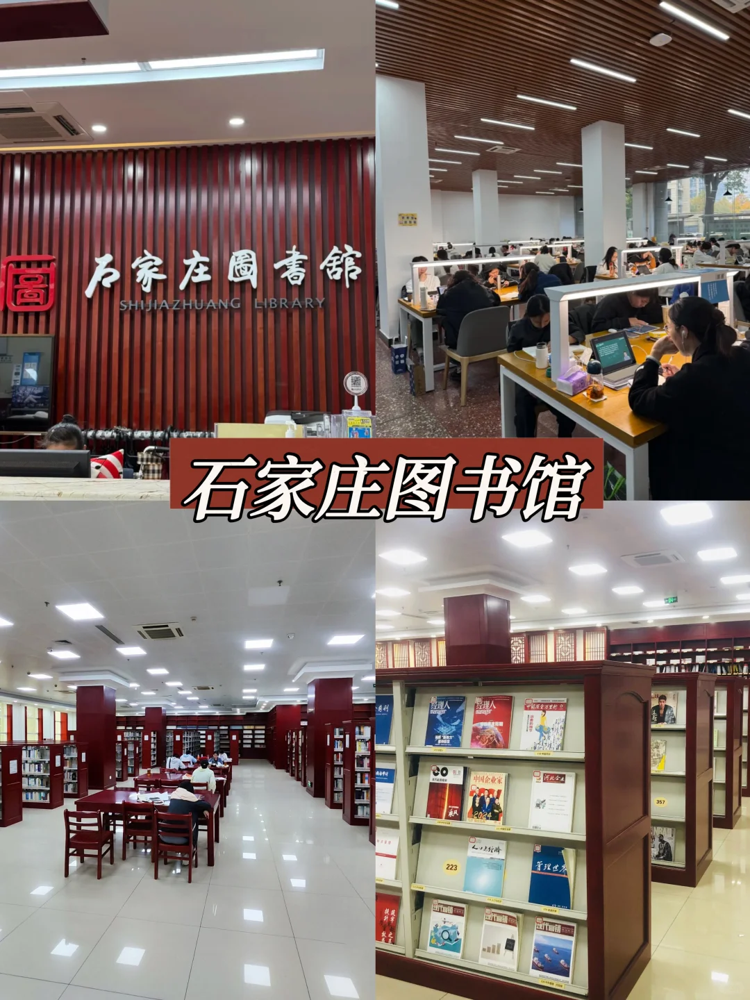 石家庄20家图书馆集锦，周末给大脑充个电