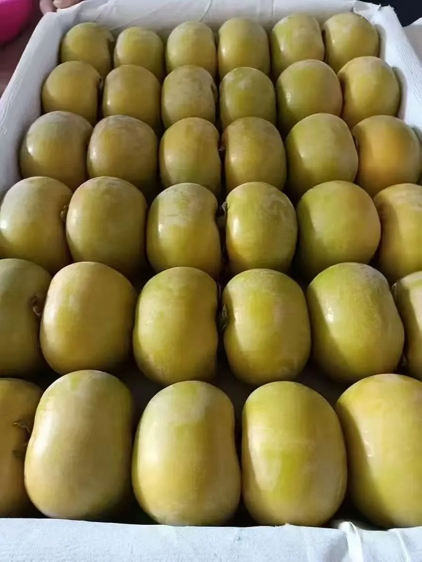 2025年10月26日穗虔优农水果批发价格